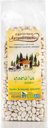 φασολια μετρια